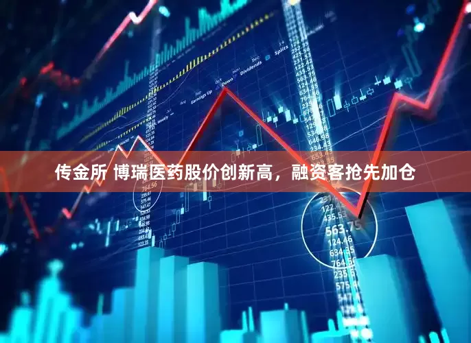 传金所 博瑞医药股价创新高，融资客抢先加仓