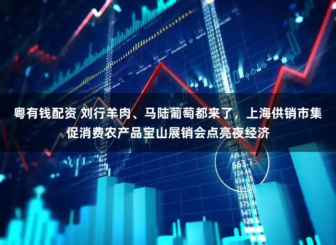 粤有钱配资 刘行羊肉、马陆葡萄都来了，上海供销市集促消费农产品宝山展销会点亮夜经济